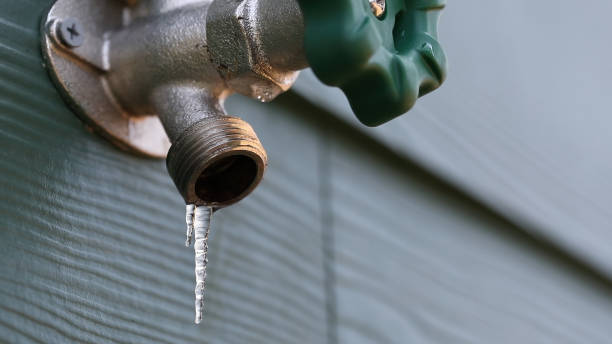Best Clogged Drain Plumber  in Groveland, FL